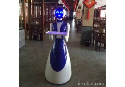江苏好点机器人    直销 迎宾礼仪服务机器人 仿真美女机器人   保洁机器人