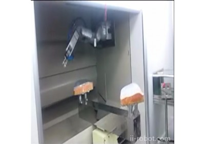 吊挂喷涂机器人/喷漆机器人/自动喷漆机