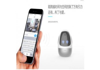 学习机器人厂家直销直销