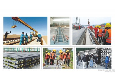 齐齐哈尔建筑材料专用地轨车搬运涂装装备过跨地爬车