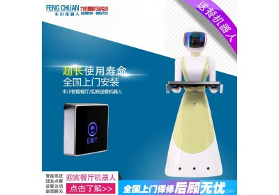 深圳丰川智能服务机器人  餐厅迎宾多功能机器人 机器人服务体验丰川机器人 扫地机器人 餐饮机器人 服务机器人 拖地机器人