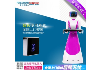 深圳茶楼机器人 酒店机器人 迎宾机器人 丰川机器人联盟 智能点菜机器人 互动安排机器人 智能安保机器人 美美女小贝机器人