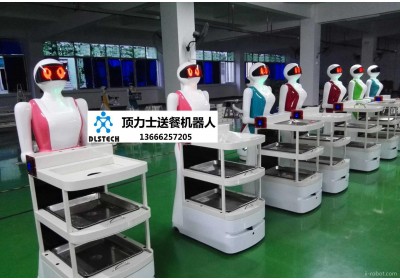 成都顶力士服务机器人