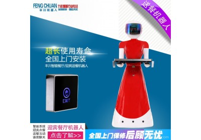 深圳丰川机器人定制 男女造型机器人 造型丰富 拖地扫地机器人，机器人服务员，扫地机器人，智能机器人，服务机器人，送菜机器