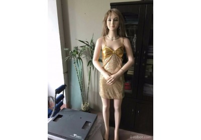 顶力士DLS迎宾机器人
