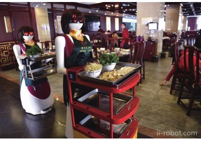 顶力士DLS机器人、火锅店专用