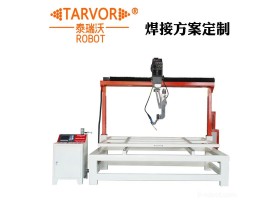 泰瑞沃 T-006 自动焊接设备 进口全自动焊接 机器人 多功能精度焊接机器人