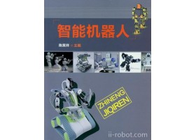 我国军用机器人产业发展中的问题+智能机器人（配光盘）
