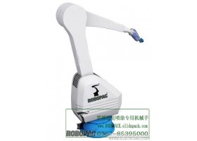 珠海喷涂手腕机器人/吉大喷漆专用机械人手臂/前山喷淋机器手