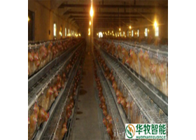 武汉华牧智能设备智慧养殖管理系统畜牧/养殖业机械