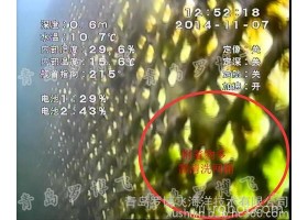 在线水质监测仪,水下探测器,水下机器人,水下视频拍摄