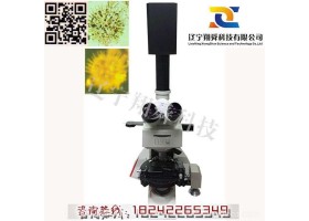 特卖款MY6000A熔样器仪器做工卓越_MY6000岩相监测仪器生产厂家_翔舜分析检测混煤快速检测设备