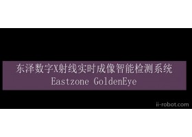 供应东泽科技数字X射线（实时）成像智能检测系