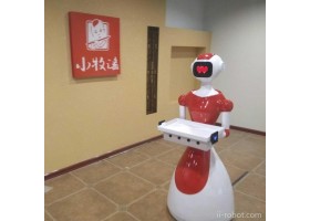 卡伊瓦高科技迎宾机器人  另全国租赁厂家直销  机器人