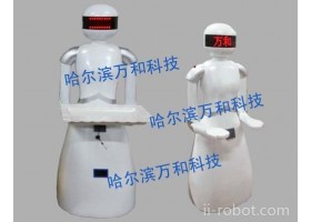 万和科技机器人18BL其他智能设备