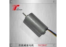 供应踢踢电子TEC2847 28MM内置驱动无刷电机吹风机 打印机 机器人 无刷电机厂家12V24V 395电机同款