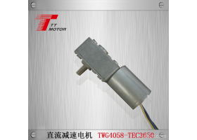 TT MOTOR  TWG4058-TEC3650 直流减速无刷电机厂家 直流涡轮减速电机  大力矩机器人 90度出轴