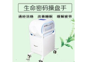 迪姿 操盘手养生仪 手法机器人 生命密码操盘手美容仪 手法精灵 生物电理疗仪