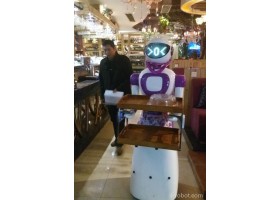 迎宾机器人 美女餐厅机器人，迎宾机器人 美女餐厅机器人价格